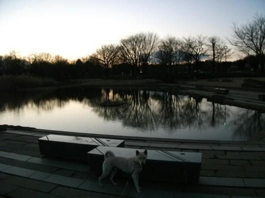 DSCF6980.JPG