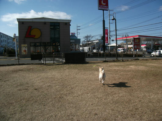 DSCF6998.JPG