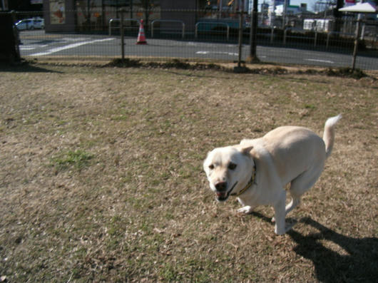 DSCF7009.JPG
