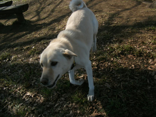 DSCF7011.JPG