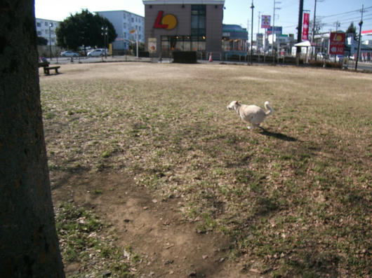 DSCF7012.JPG