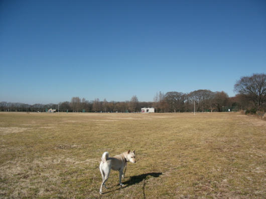 DSCF7035.JPG