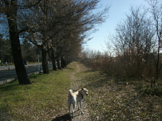 DSCF7043.JPG