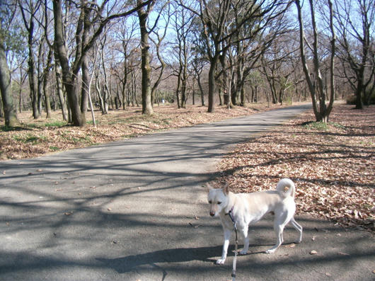 DSCF7048.JPG