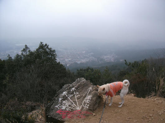 DSCF7162.JPG