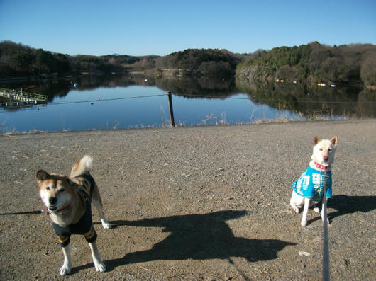 DSCF7229.JPG