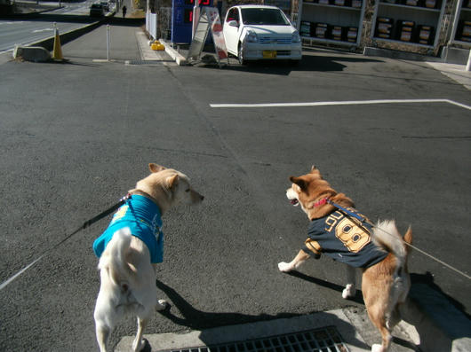 DSCF7266.JPG