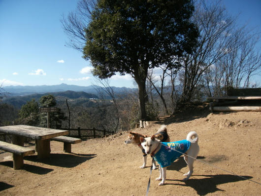 DSCF7292.JPG