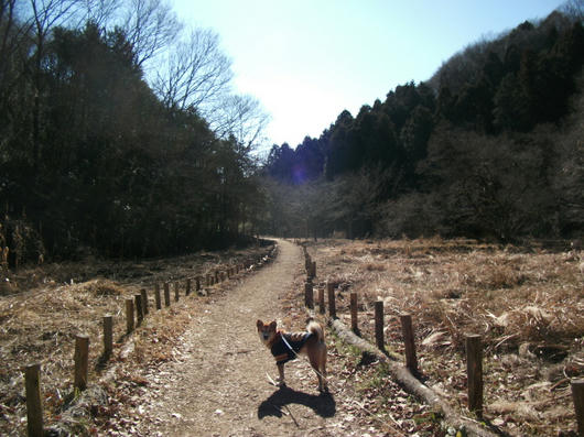 DSCF7296.JPG