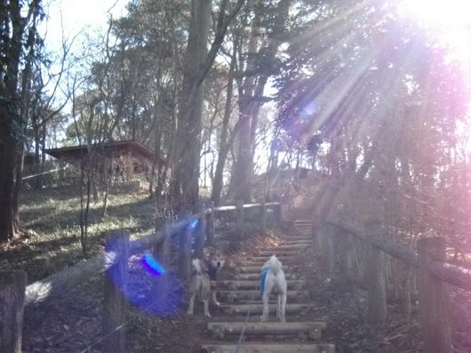 DSCF7298.JPG