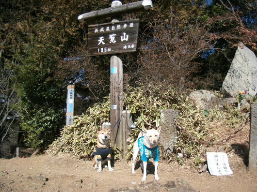 DSCF7303.JPG