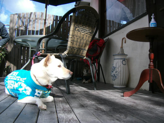 DSCF7318.JPG