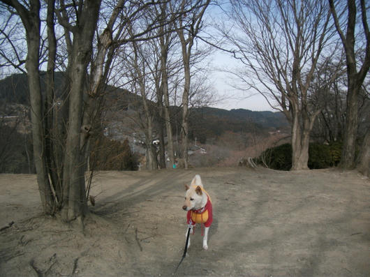 DSCF7350.JPG