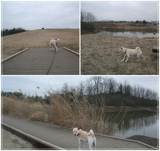201102202.jpg