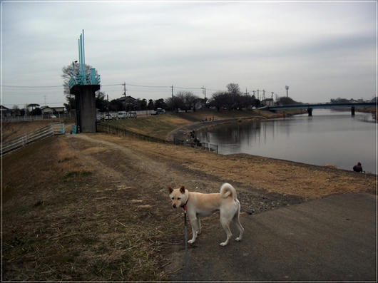 201102203.JPG