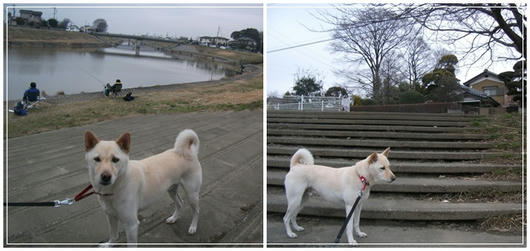 201102204.jpg