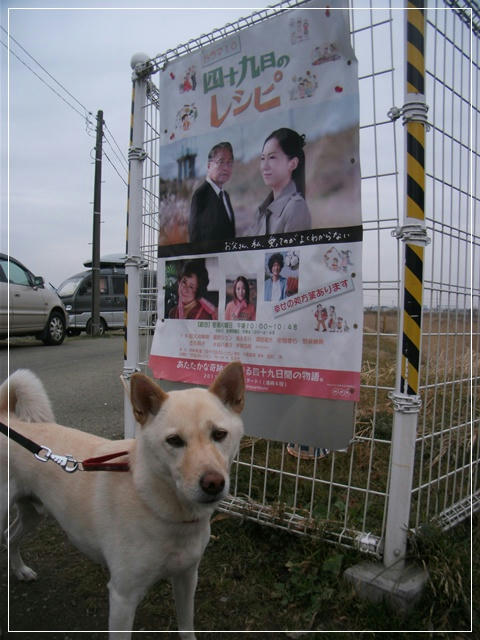 201102205.JPG