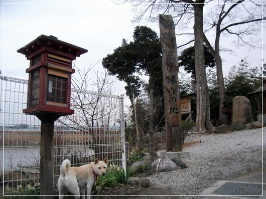 201102206.JPG