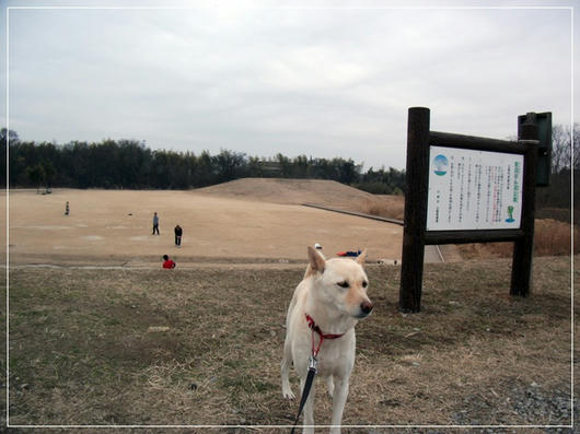 201102201.JPG