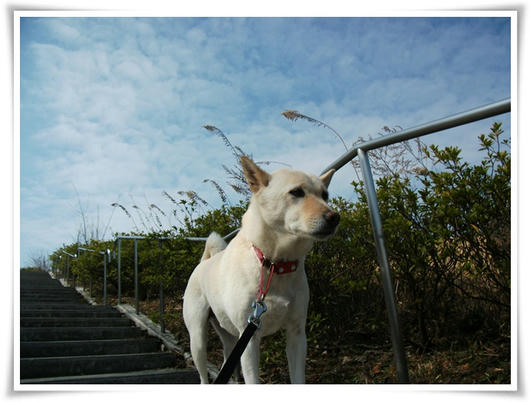 201102215.JPG