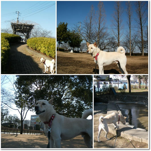 201102225.jpg