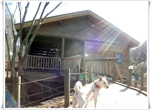201102267.JPG