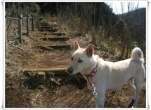 201102269.JPG