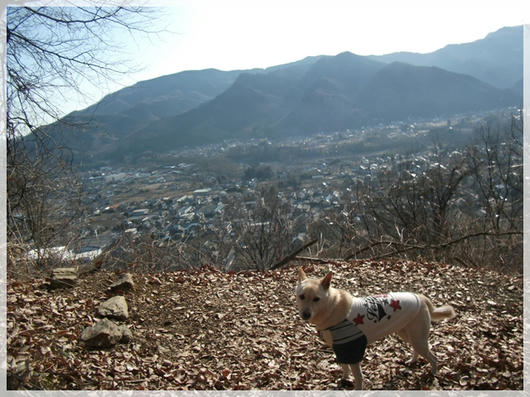 201103063.JPG