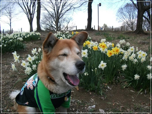 201103311.JPG