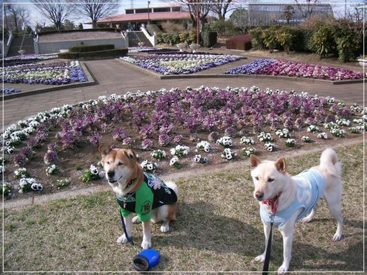 201103314.JPG
