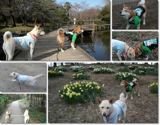 201103317.jpg