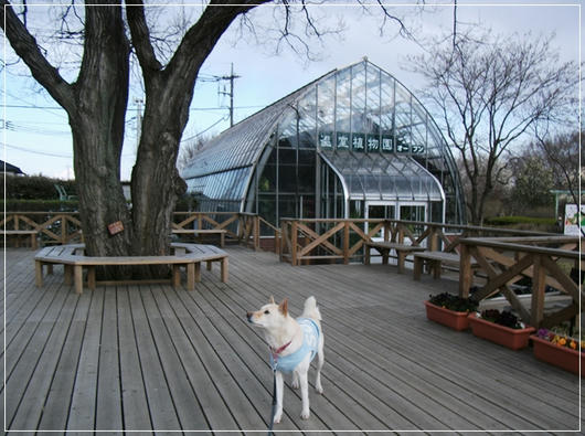 201103318.JPG