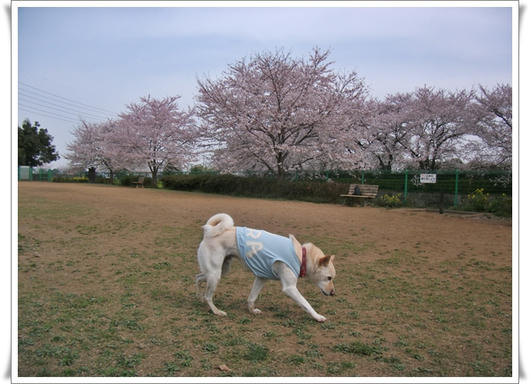 201104114.JPG
