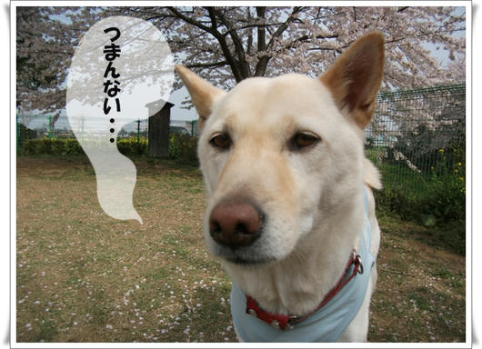 201104112.JPG