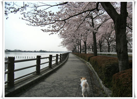 201104118.JPG