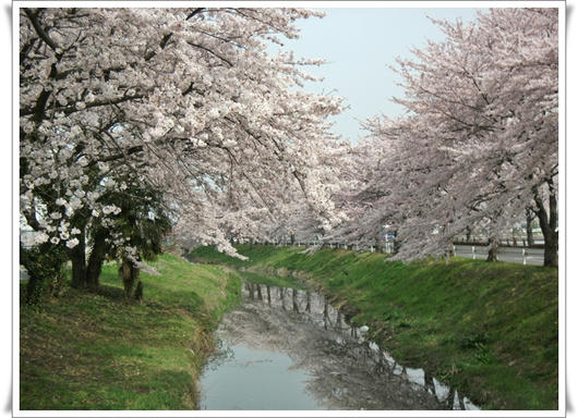 201104119.JPG