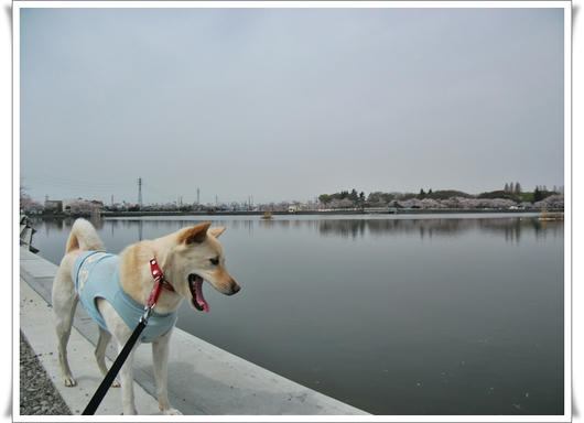 2011041112.JPG