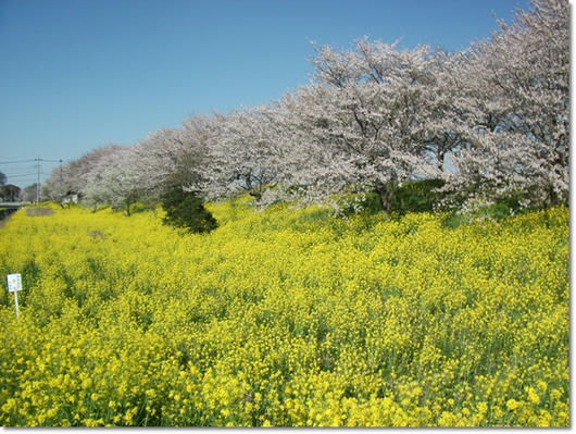 201104122.JPG