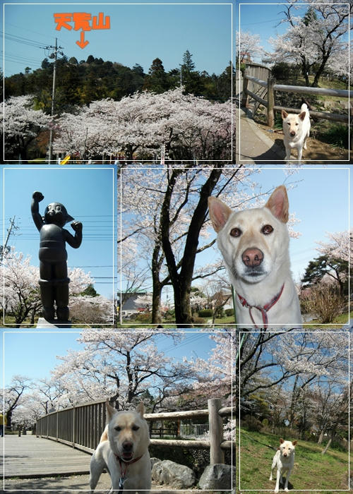 201104139.jpg