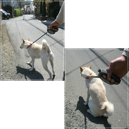 2011041310.jpg