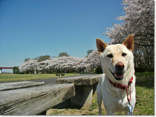 201104144.JPG