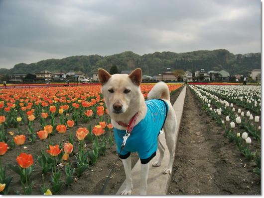 201104214.JPG