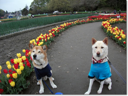 201104215.JPG