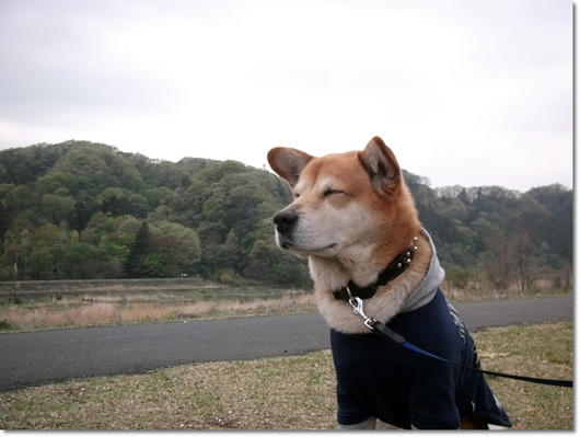 2011042110.JPG