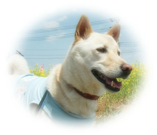 201104172.JPG