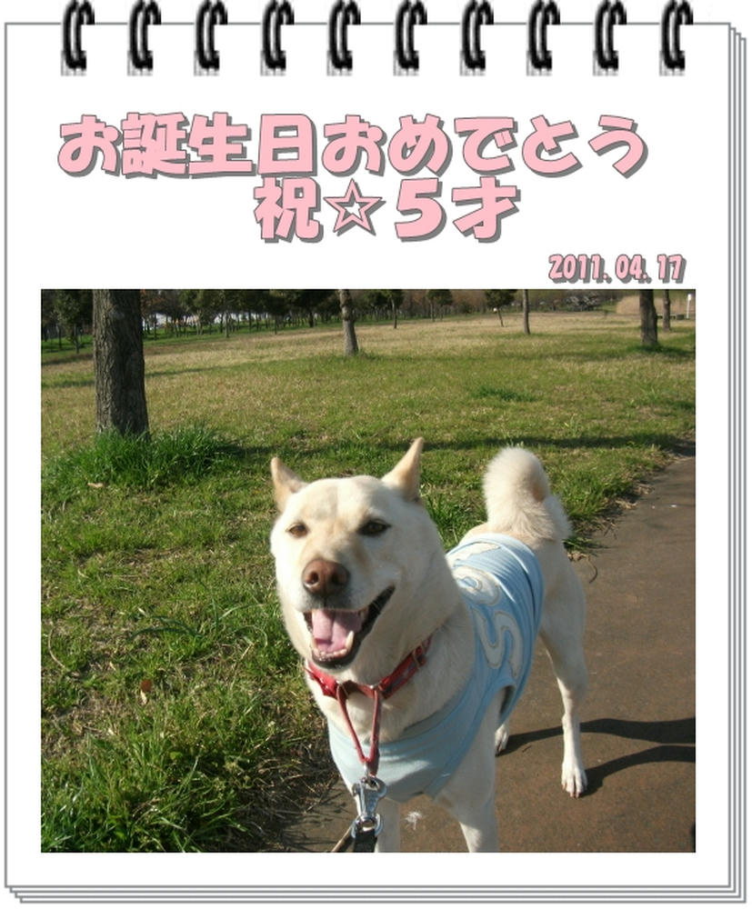 201104171.JPG