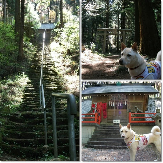 201104242.jpg