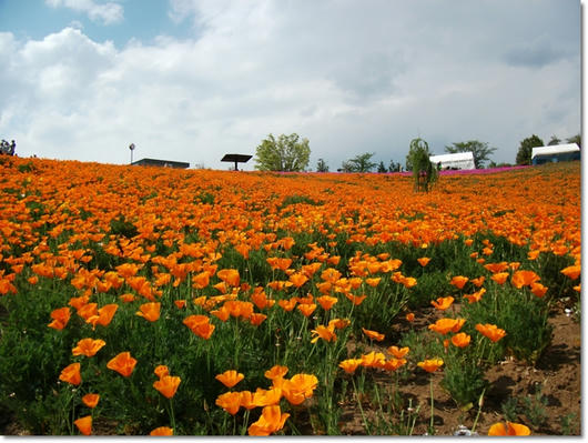201104292.JPG