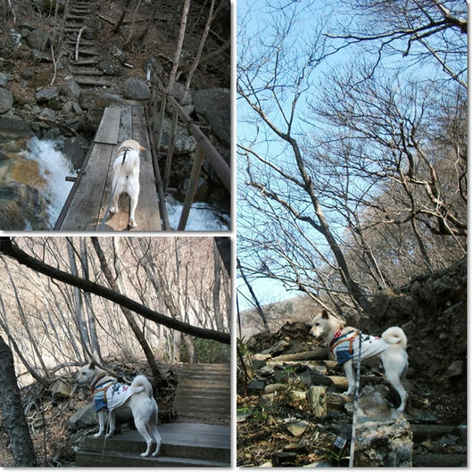 201104305.jpg