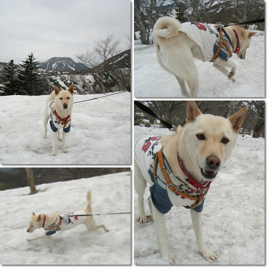 201104309.jpg
